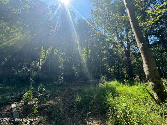 Lot 13 Rose Island Rd, Goshen, KY 40026