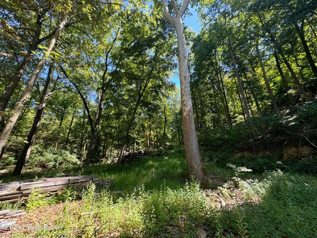 Lot 13 Rose Island Rd, Goshen, KY 40026