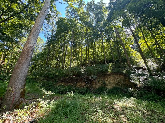 Lot 13 Rose Island Rd, Goshen, KY 40026