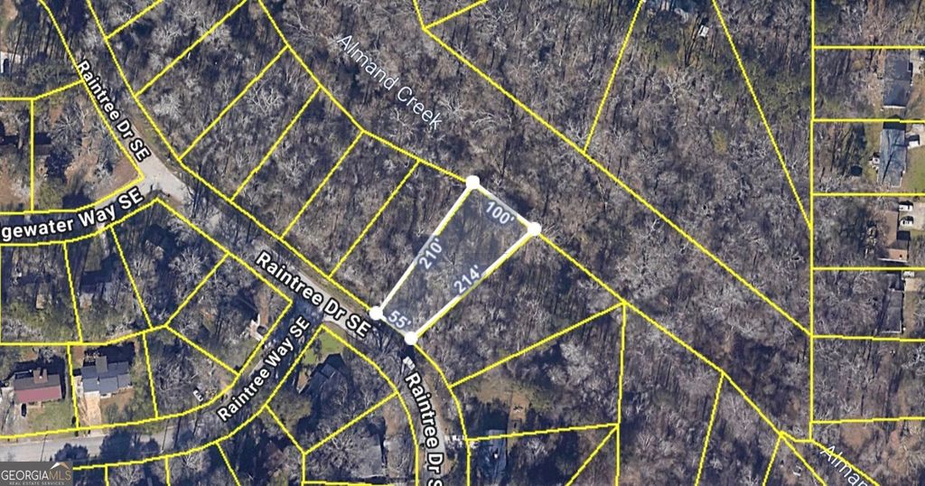 2978 Raintree Drive SE, Conyers, GA 30094 — photo 3