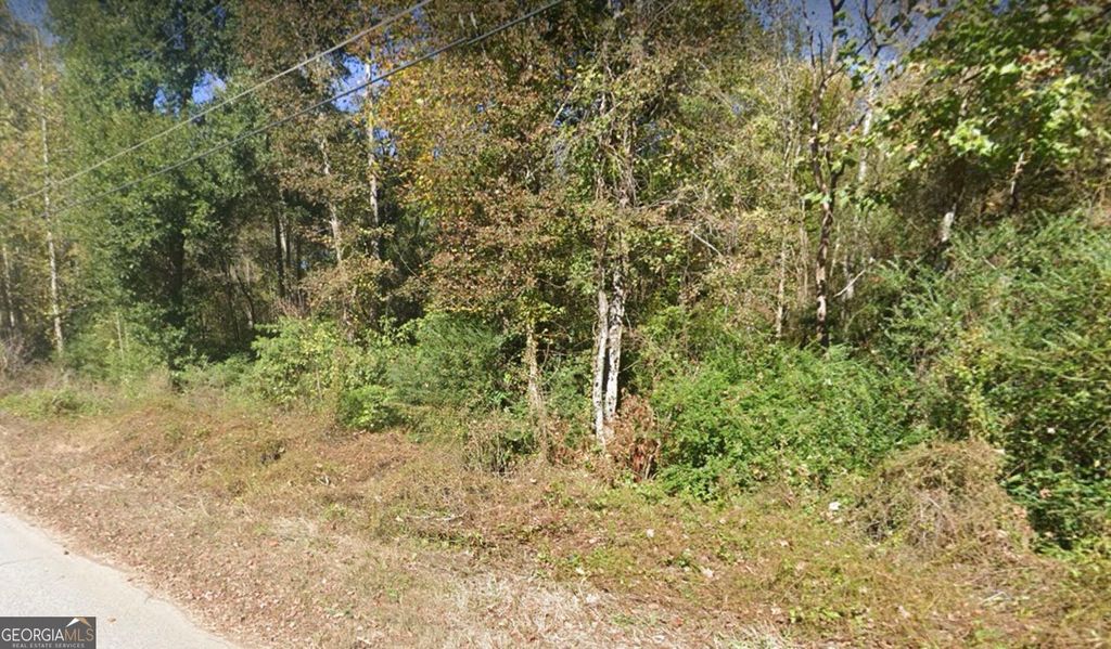 2978 Raintree Drive SE, Conyers, GA 30094 — photo 5