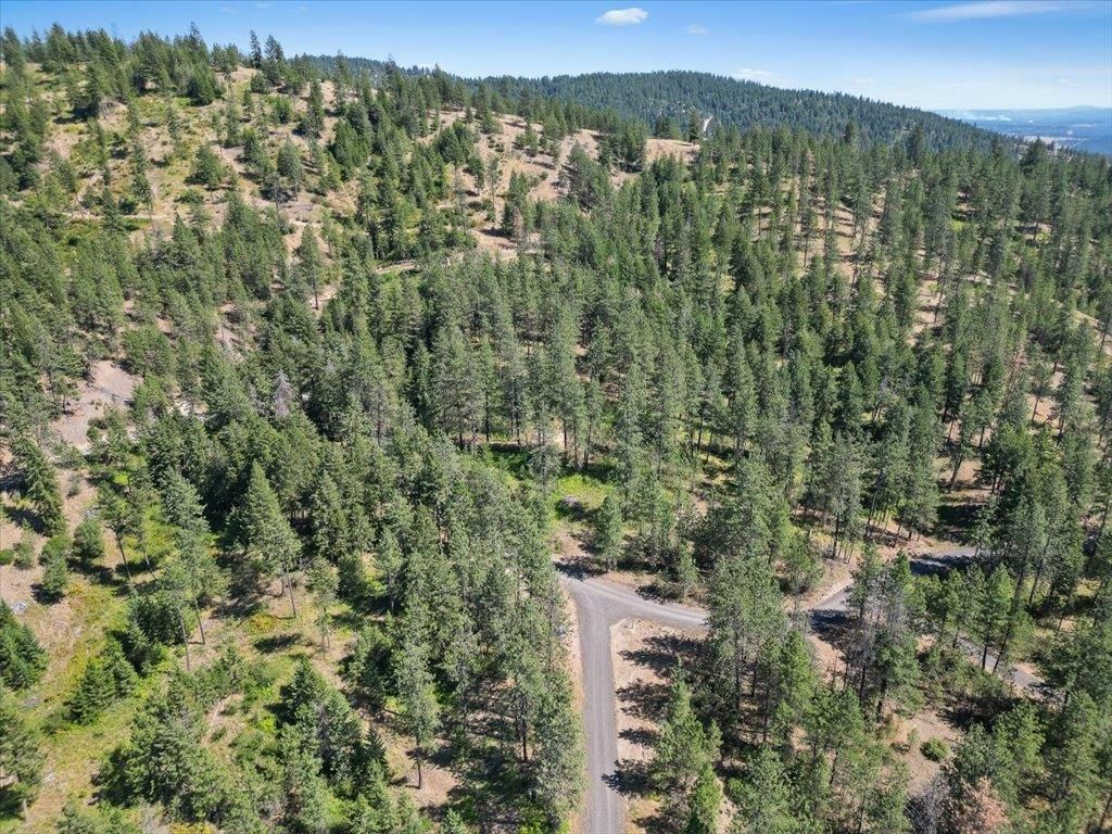 NKA Weaver Way, Deer Park, WA 99006 photo 5