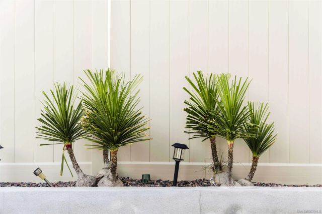 29137 Red Alder, Lake Elsinore, CA 92530