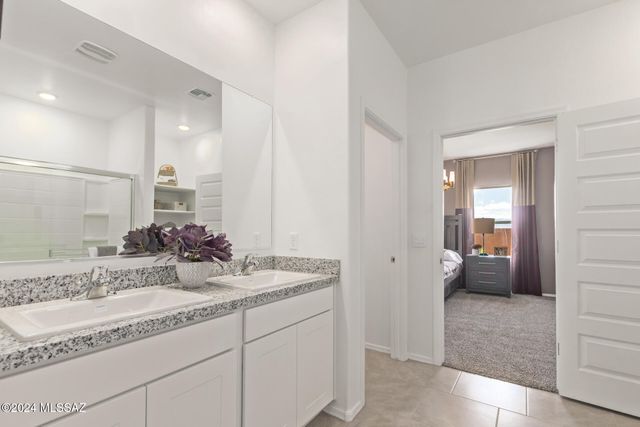 14131 E Canidae Drive, Vail, AZ 85641