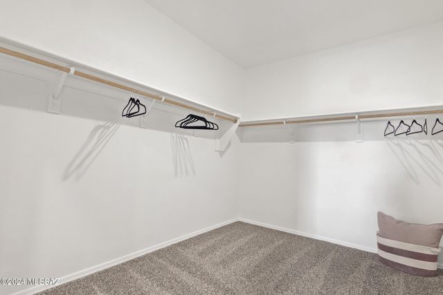 14131 E Canidae Drive, Vail, AZ 85641