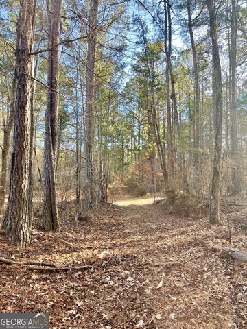 0 Padgett Road LOT 7, Senoia, GA 30276