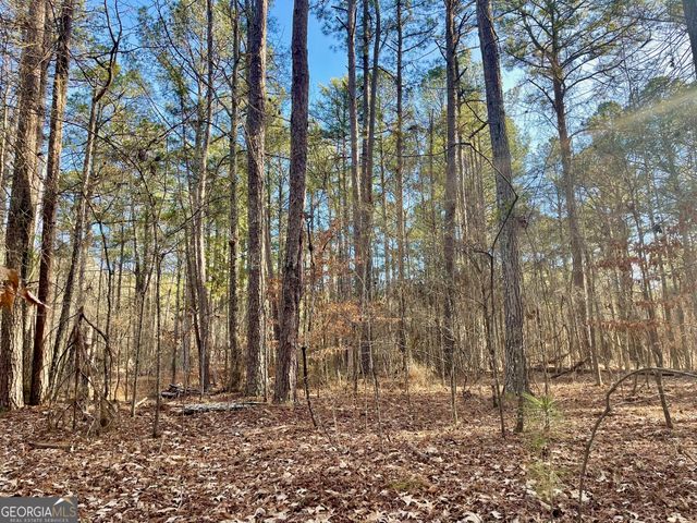 0 Padgett Road LOT 7, Senoia, GA 30276