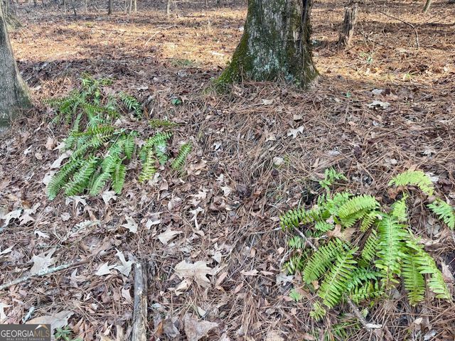 0 Padgett Road LOT 7, Senoia, GA 30276