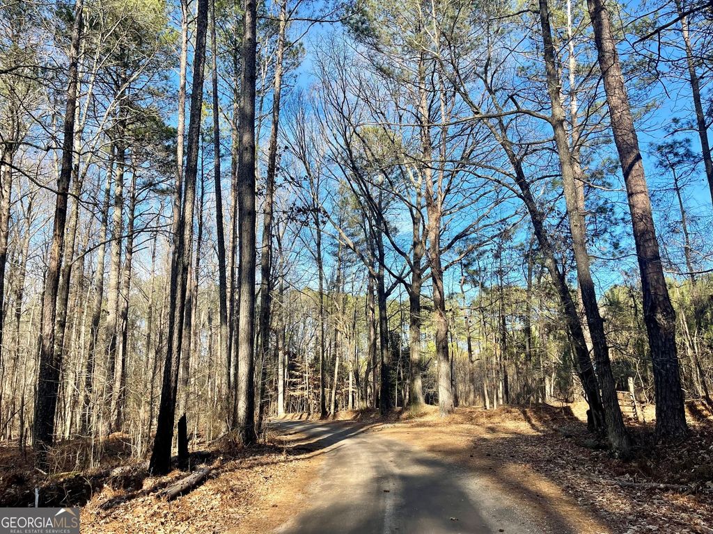 0 Padgett Road LOT 7, Senoia, GA 30276