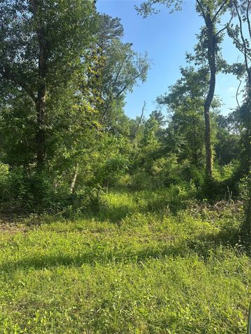 TBD Little Lane, Shepherd, TX 77371