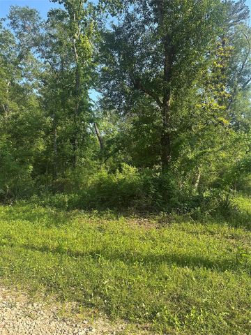 TBD Little Lane, Shepherd, TX 77371