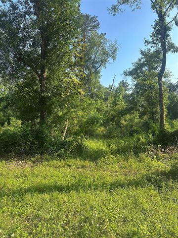 TBD Little Lane, Shepherd, TX 77371