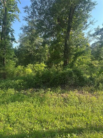 TBD Little Lane, Shepherd, TX 77371