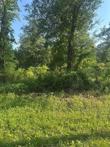TBD Little Lane, Shepherd, TX 77371