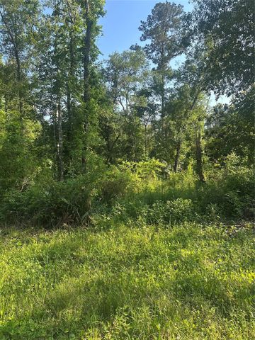 TBD Little Lane, Shepherd, TX 77371