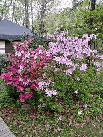 1655 COUNTRY CLUB RD, Somerville, TN 38068