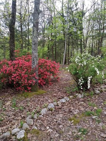 1655 COUNTRY CLUB RD, Somerville, TN 38068