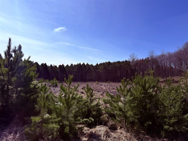 619 S Amber Road, Scottville, MI 49454