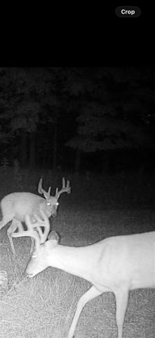 619 S Amber Road, Scottville, MI 49454