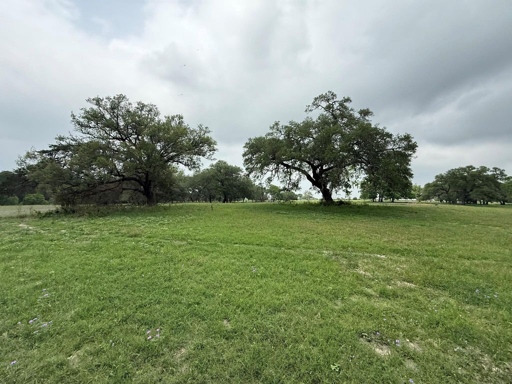 5719-6 Farm To Market 2238, Schulenburg, TX 78956