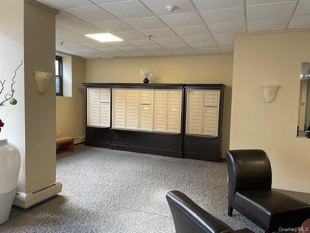 100 Clinton Avenue 4P, Mineola, NY 11501