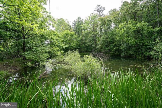 228 BLACK BEAR LN, Stanley, VA 22851