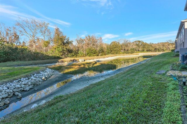 10033 TRANQUILITY WAY, Tampa, FL 33625