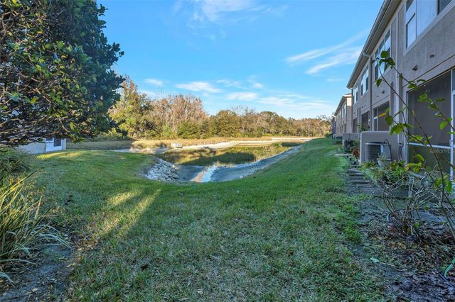 10033 TRANQUILITY WAY, Tampa, FL 33625