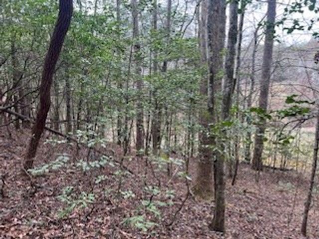 216 Holly Hill Drive, Blairsville, GA 30512