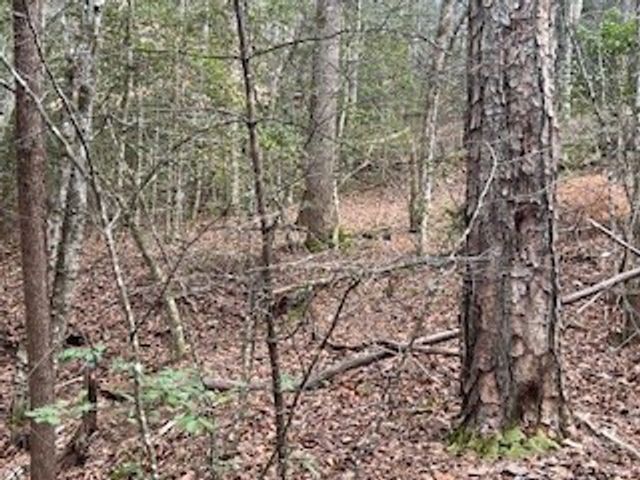 216 Holly Hill Drive, Blairsville, GA 30512