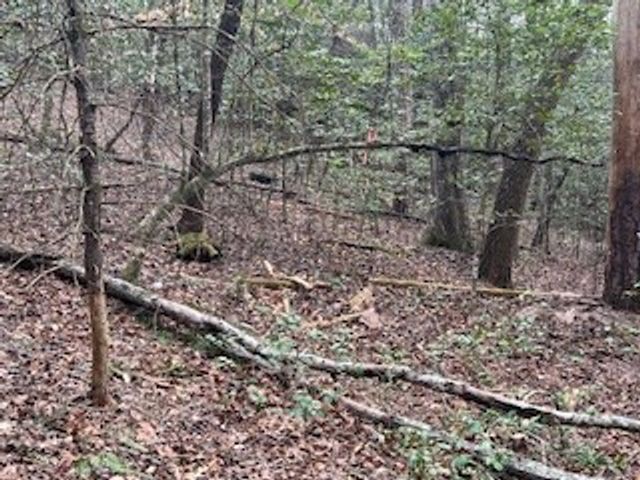 216 Holly Hill Drive, Blairsville, GA 30512