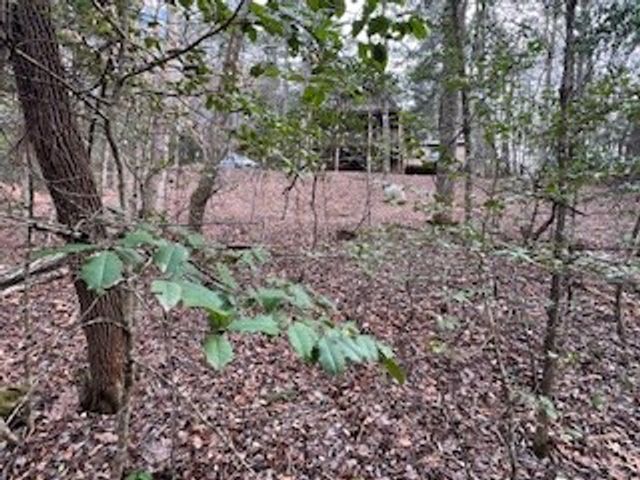 216 Holly Hill Drive, Blairsville, GA 30512