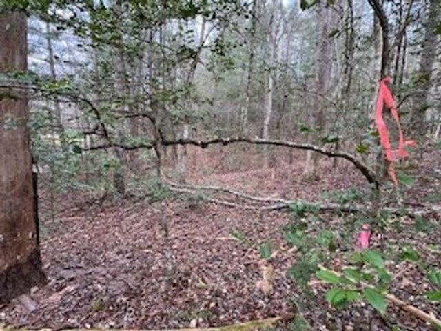 216 Holly Hill Drive, Blairsville, GA 30512