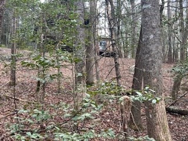 216 Holly Hill Drive, Blairsville, GA 30512