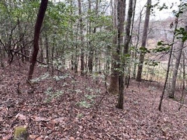 216 Holly Hill Drive, Blairsville, GA 30512