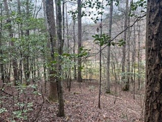 216 Holly Hill Drive, Blairsville, GA 30512