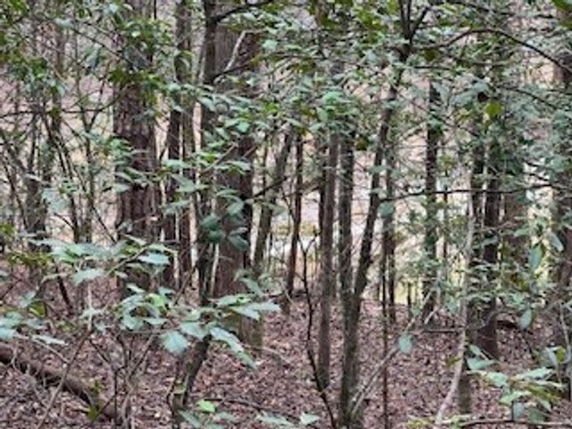 216 Holly Hill Drive, Blairsville, GA 30512