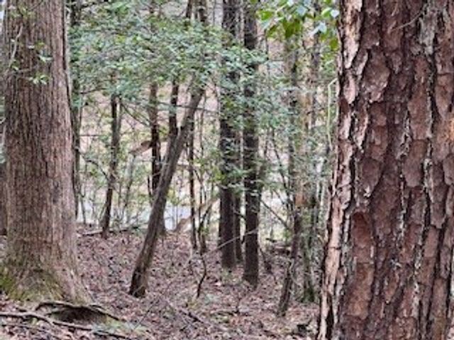 216 Holly Hill Drive, Blairsville, GA 30512