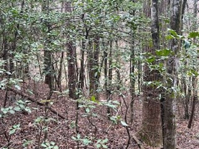 216 Holly Hill Drive, Blairsville, GA 30512