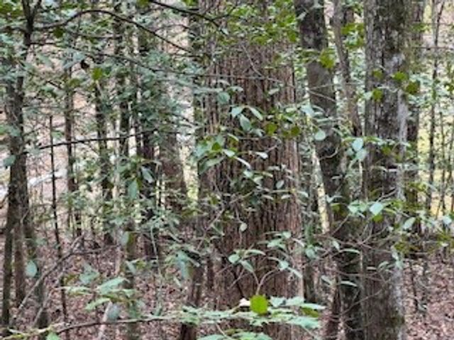 216 Holly Hill Drive, Blairsville, GA 30512