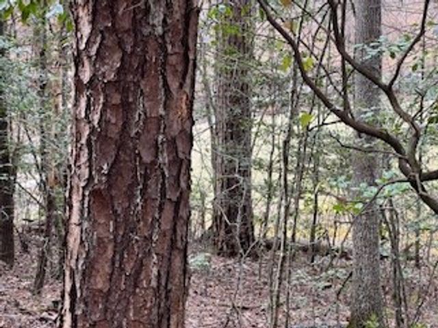 216 Holly Hill Drive, Blairsville, GA 30512