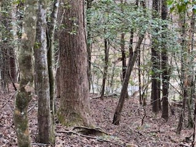 216 Holly Hill Drive, Blairsville, GA 30512