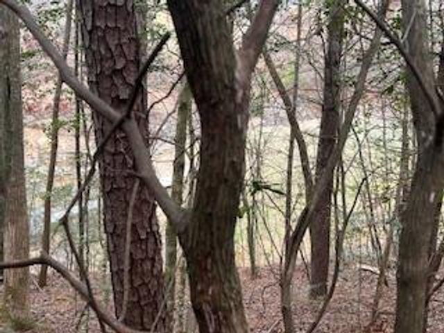 216 Holly Hill Drive, Blairsville, GA 30512