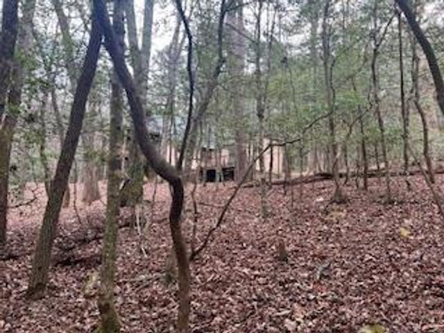 216 Holly Hill Drive, Blairsville, GA 30512