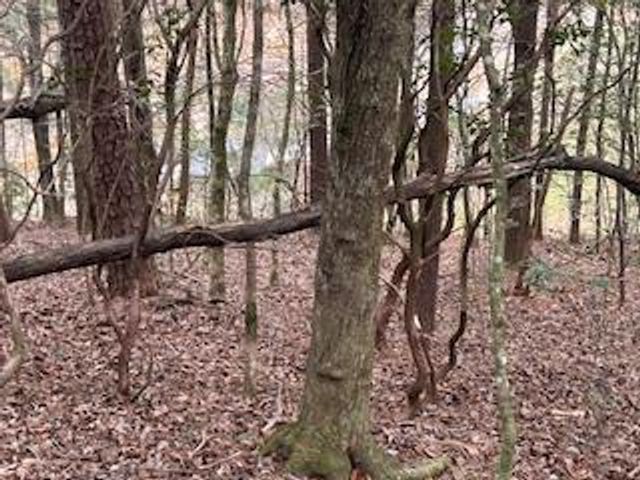 216 Holly Hill Drive, Blairsville, GA 30512