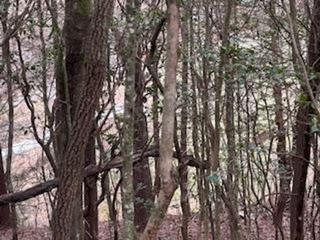 216 Holly Hill Drive, Blairsville, GA 30512