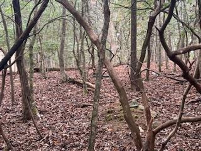 216 Holly Hill Drive, Blairsville, GA 30512