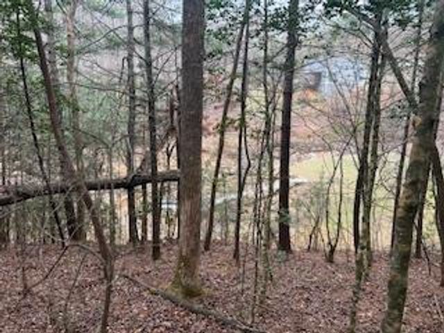 216 Holly Hill Drive, Blairsville, GA 30512