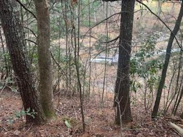 216 Holly Hill Drive, Blairsville, GA 30512