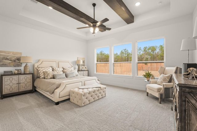 41702 Lays Court, Todd Mission, TX 77316